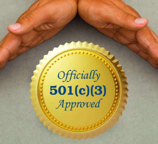 Team Fly Girls is 501c3